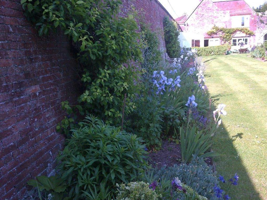 Coxley House Bed & Breakfast Wells Dış mekan fotoğraf